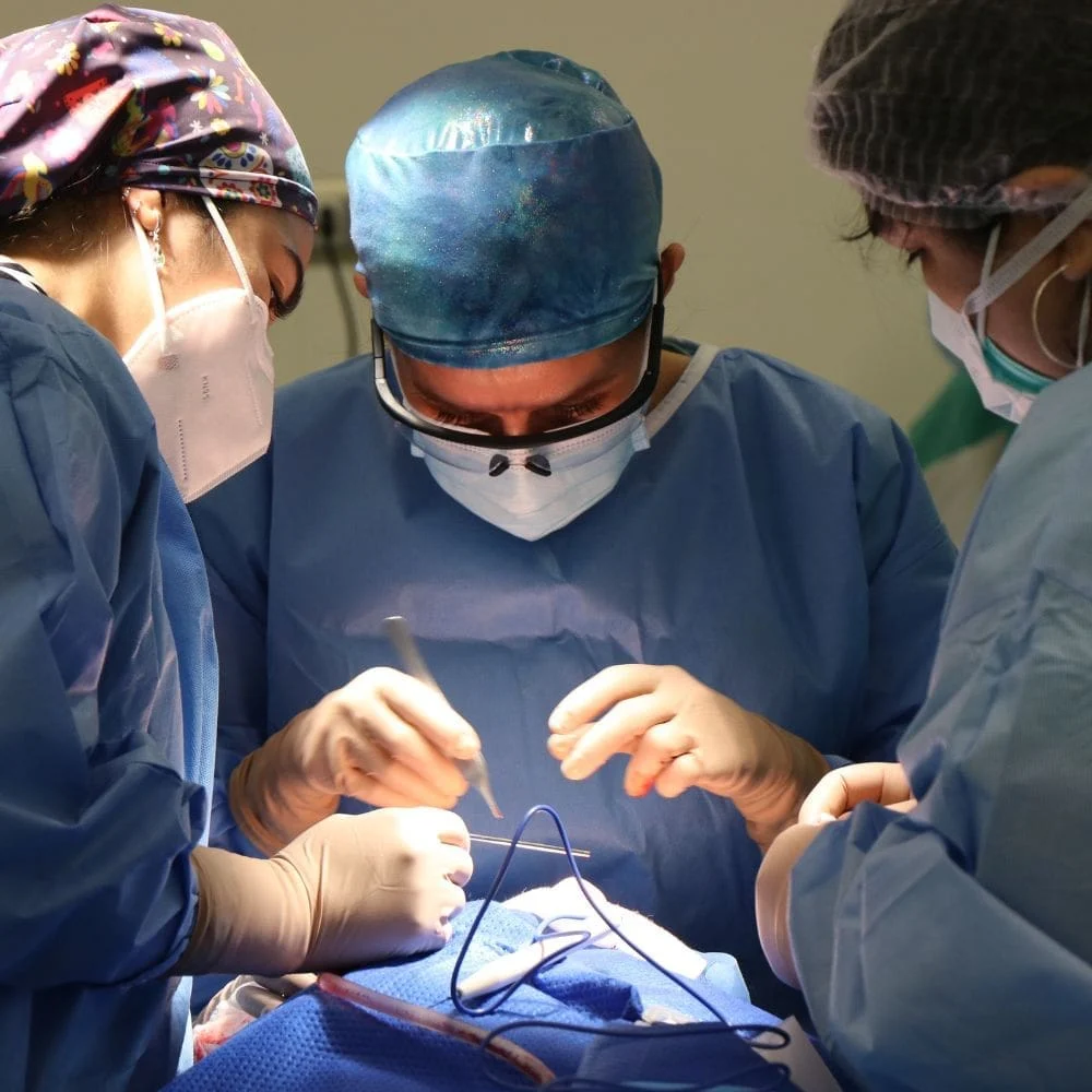 Clinica Martin Diaz- Cirujanos Plasticos – Barrio Salamanca – Milla de Oro – imagen 2